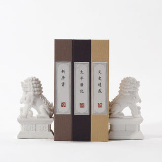 Buddha Gift 2Pcs Lion Statue Courage Strength Resin Home Office Decoration