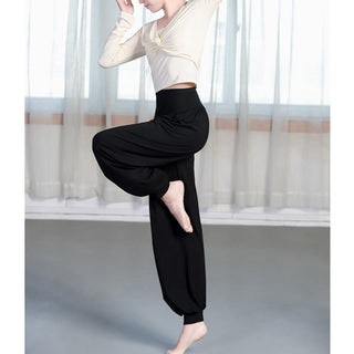 Buddha Gift Plain Color Loose Modal Yoga Dance Harem Pants