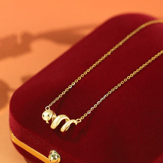 Buddha Gift 925 Sterling Silver Copper Coins Wealth The Year of The Snake 2025 Red String Protection Bundle