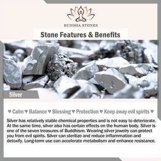 Buddha Gift 925 Sterling Silver Copper Coins Wealth The Year of The Snake 2025 Red String Protection Bundle