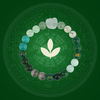 Buddha Gift Five Elements Various Crystal Agate Pixiu Wealth Bracelet