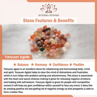 Buddha Gift Five Elements Various Crystal Agate Pixiu Wealth Bracelet