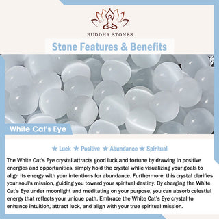 Buddha Gift 6mm Various Stone Crystal Black Glitter Stone Red Tiger Eye Beads Protection Bracelet