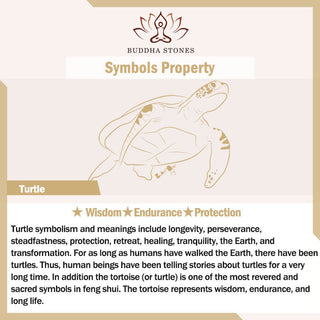 Buddha Gift Small Various Crystal Green Aventurine Amethyst Turtle Copper Coins Luck Home Decoration