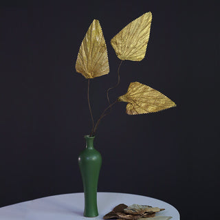 Buddha Gift Natural Dried Triangle Lotus Leaf Stemmed Plant Bouquet Home Decoration Ornaments