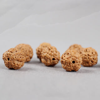 Buddha Gift Tibet Rudraksha Bodhi Seed Dzi Bead Amber Turquoise Wealth Bracelet