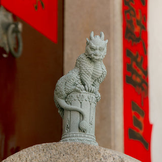 Buddha Gift Feng Shui Standing Sitting Dragon Success Luck Home Decoration