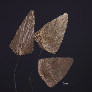 Buddha Gift Natural Dried Triangle Lotus Leaf Stemmed Plant Bouquet Home Decoration Ornaments