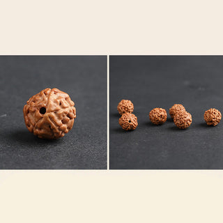 Buddha Gift Tibet Rudraksha Bodhi Seed PiXiu Copper Coin Wealth Luck Bracelet