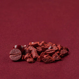 Buddha Gift Cinnabar Jade Healing Protection Charm Bracelet