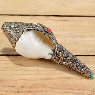 Buddha Gift Tibetan Natural Shankha Conch Shell Seashell Wealth Lucky Home Decoration