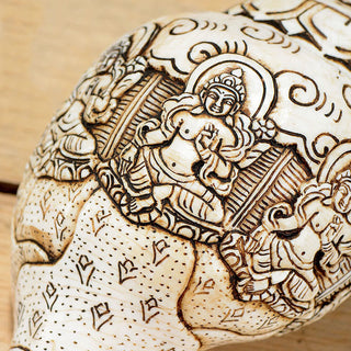 Buddha Gift Tibetan Handmade Engraved Shankha Buddha Avalokitesvara Conch Shell Wealth Decoration