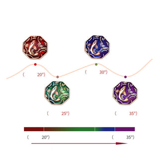 Buddha Gift 925 Sterling Silver Luck Koi Fish Color Change Wealth Handcrafted Braided Bracelet