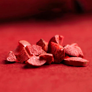 Buddha Gift 925 Sterling Silver Year of the Dragon Natural Cinnabar Hetian Jade Dragon Fu Character Ruyi As One Wishes Charm Blessing Bracelet (Extra 30% Off | USE CODE: FS30)