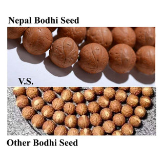Buddha Gift 108 Mala Beads Nepal Bodhi Seed Luck Wealth Tassel Bracelet