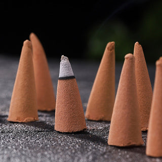 Buddha Gift Tibetan Buddha Peaceful Incense