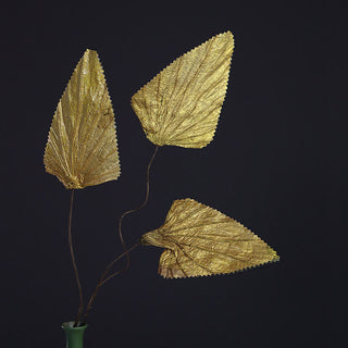 Buddha Gift Natural Dried Triangle Lotus Leaf Stemmed Plant Bouquet Home Decoration Ornaments