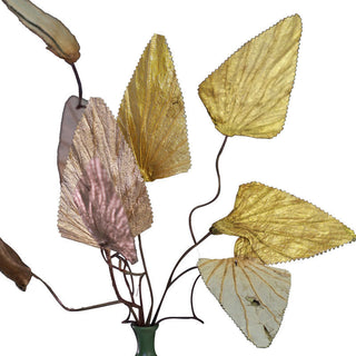 Buddha Gift Natural Dried Triangle Lotus Leaf Stemmed Plant Bouquet Home Decoration Ornaments