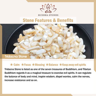 ❗❗❗A Flash Sale- Buddha Gift 925 Sterling Silver Tridacna Stone Year of the Dragon Fu Character Luck Strength Necklace Pendant