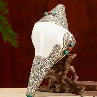 Buddha Gift Tibetan Natural Shankha Conch Shell Seashell Wealth Lucky Home Decoration