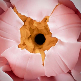 Buddha Gift Tibetan Lotus Blessing Ceramic Stick Incense Burner Decoration