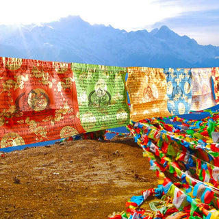 Buddha Gift Tibetan 5 Colors Windhorse Blessing Longevity Sutra Outdoor 20 Pcs Prayer Flag Decoration