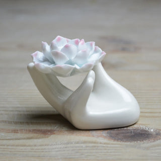 Buddha Gift Small Ceramic Lotus Hand Healing Meditation Incense Burner Decoration
