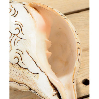 Buddha Gift Tibetan Handmade Engraved Shankha Buddha Avalokitesvara Conch Shell Wealth Decoration