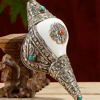 Buddha Gift Tibetan Natural Shankha Conch Shell Seashell Wealth Lucky Home Decoration