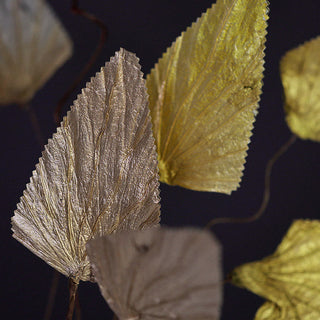 Buddha Gift Natural Dried Triangle Lotus Leaf Stemmed Plant Bouquet Home Decoration Ornaments