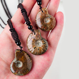Buddha Gift Natural Ammonite Fossil Snail Pattern Meditation Healing Necklace Pendant