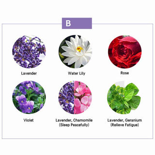 Buddha Gift 6Pcs Lavender Orange Jasmine Lemongrass Soothing Aromatherapy Healing Essential Oils Set