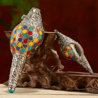 Buddha Gift Tibetan Handmade Natural Shankha Colorful Conch Shell Seashell Wealth Home Decoration