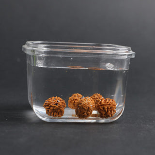 Buddha Gift Tibet Rudraksha Bodhi Seed PiXiu Copper Coin Wealth Luck Bracelet